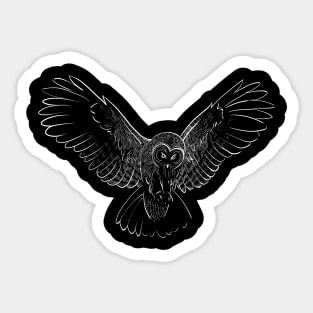 Owl, Decorative, doodle art, bird Sticker